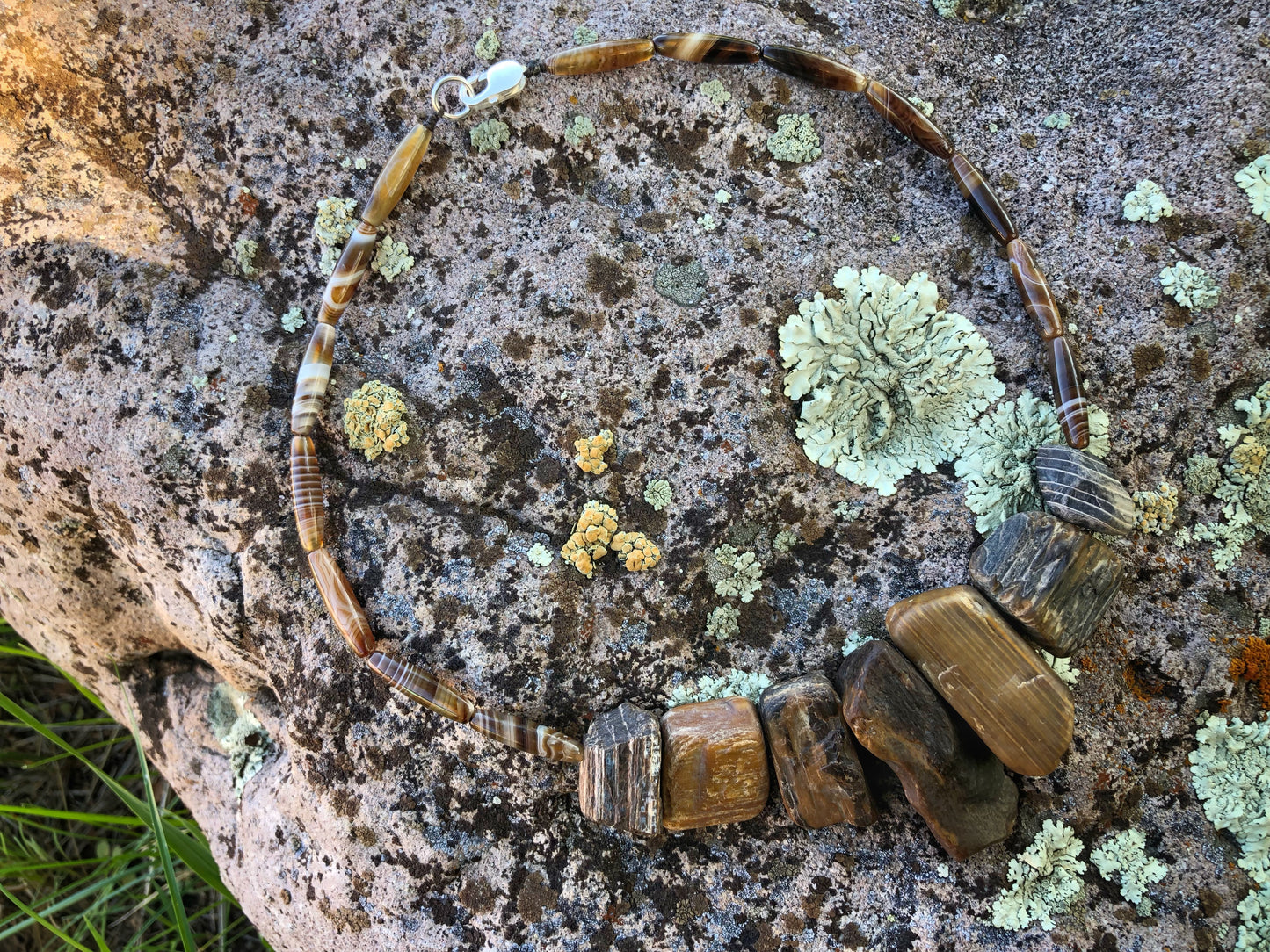 Bits of Forest, Petrified Wood